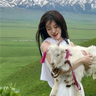 卡片王子大暴走